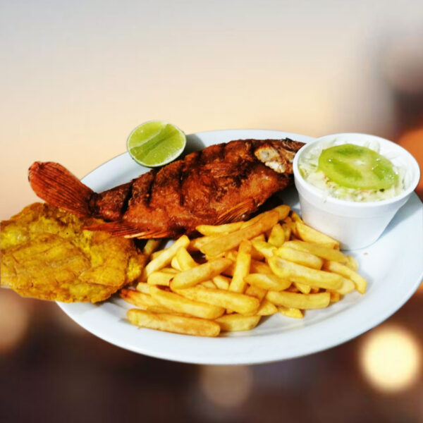 Tilapia